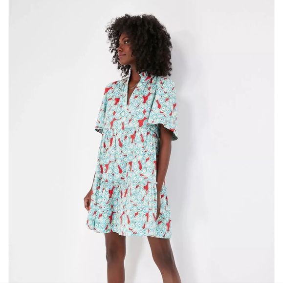 Tuckernuck Aqua and Red Patterned Mini Dress - Picture 10 of 10
